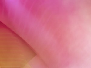 微内核架构无废话入门：只讲你最需要的